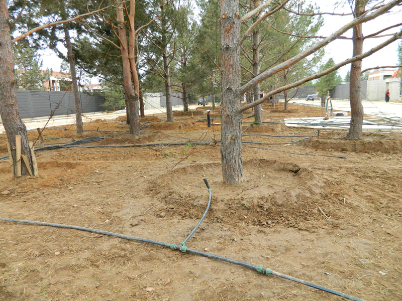 Полив участка