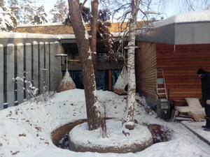 Пересадка деревьев